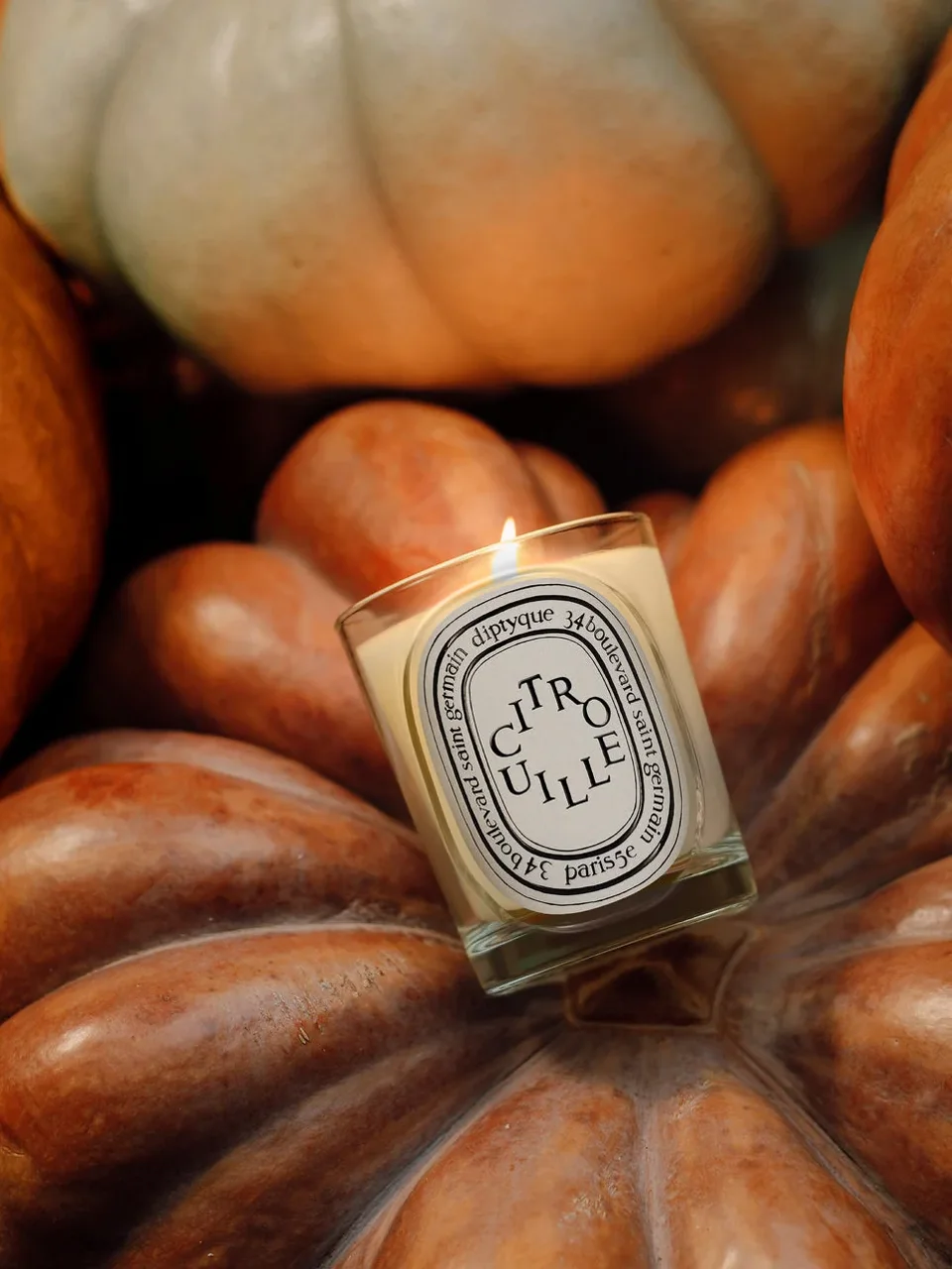 Diptyque Citrouille Classic Candle
